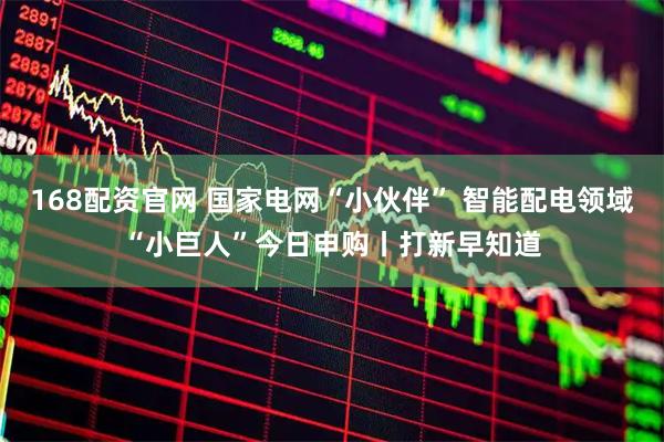 168配资官网 国家电网“小伙伴” 智能配电领域“小巨人”今日申购丨打新早知道