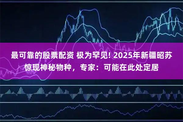 最可靠的股票配资 极为罕见! 2025年新疆昭苏惊现神秘物种，专家：可能在此处定居